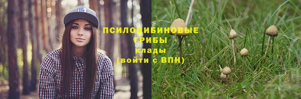 стаф Вязники