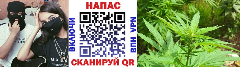 hydra сайт  Петухово  Бошки Шишки индика  где найти  